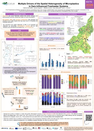 poster iocto2026_Catarina_VF.pdf